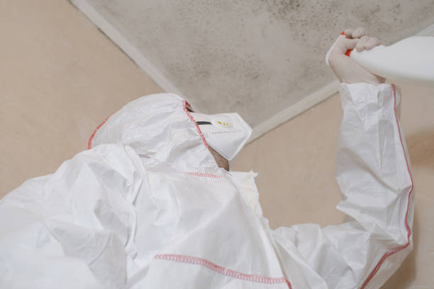 Best Residential Mold Removal  in Matamoras, OH